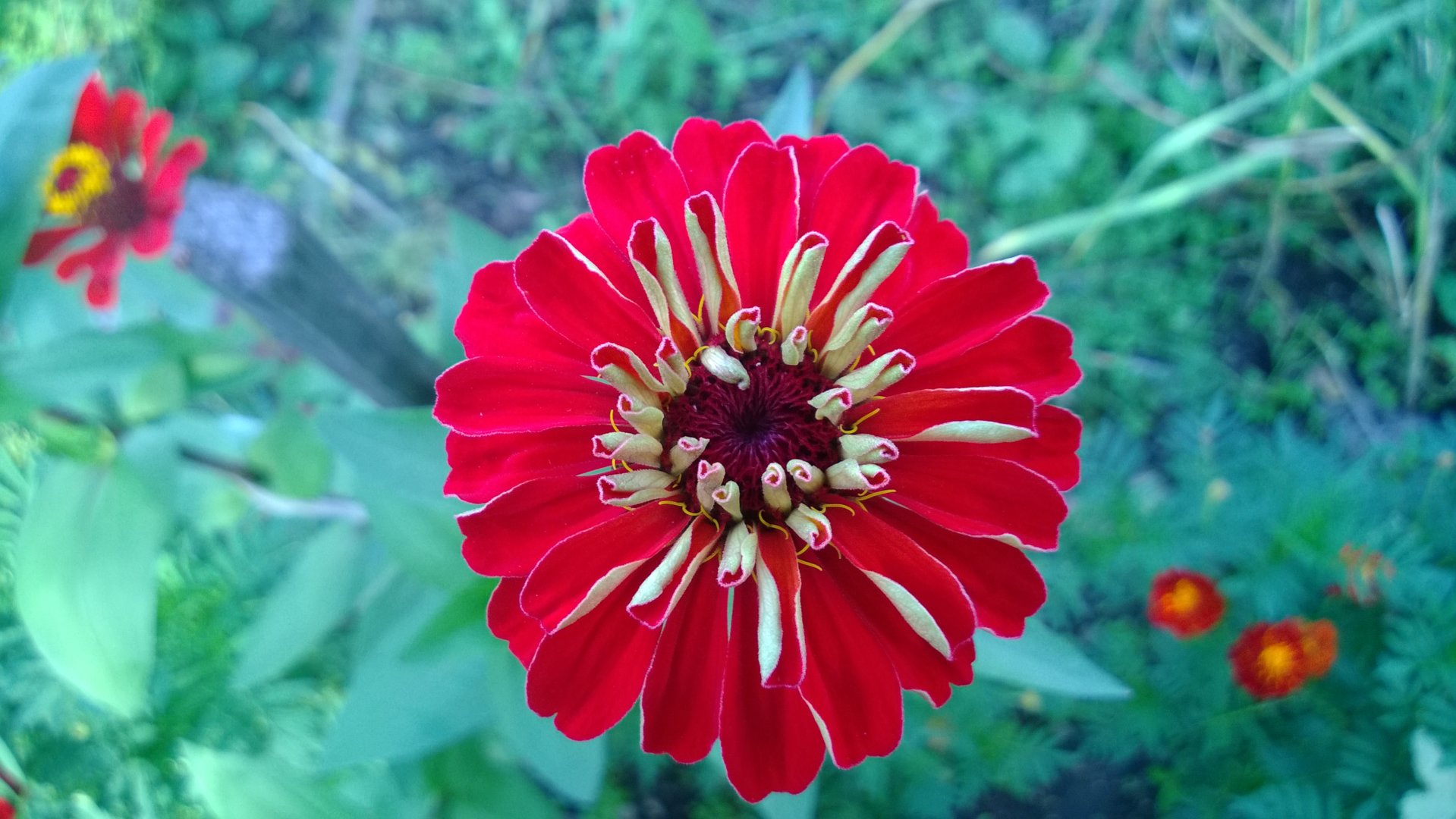 WP_20200820_018.jpg