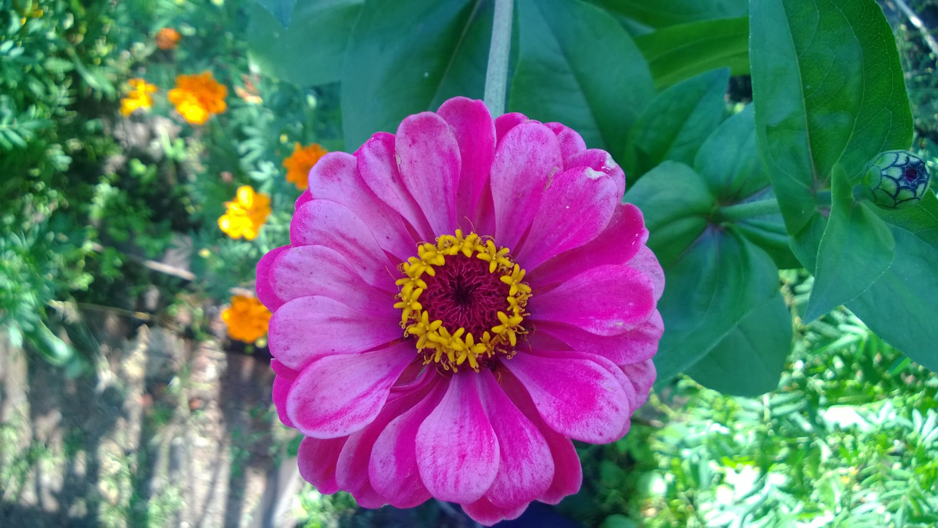 WP_20200820_019.jpg