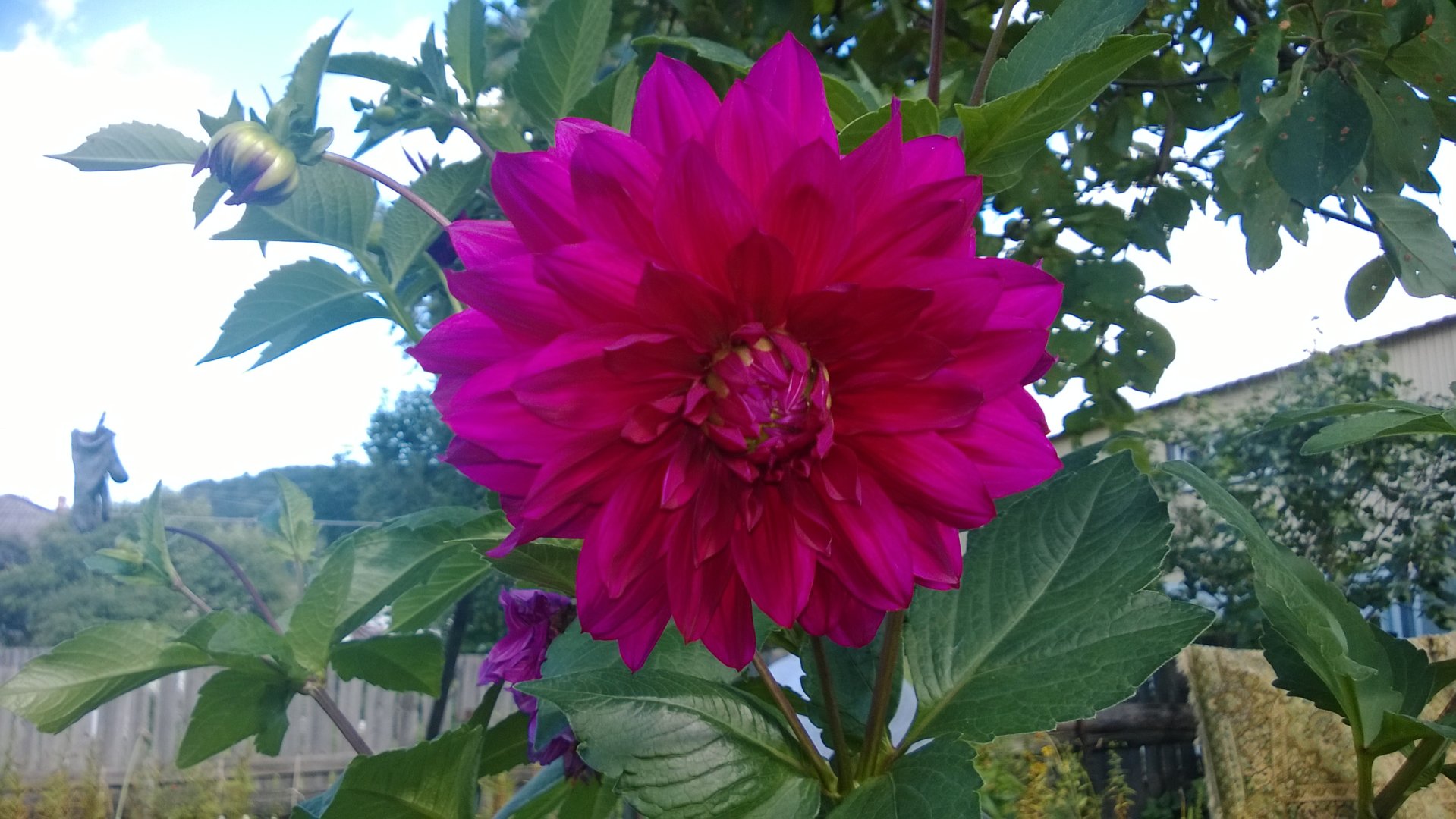 WP_20200820_020.jpg