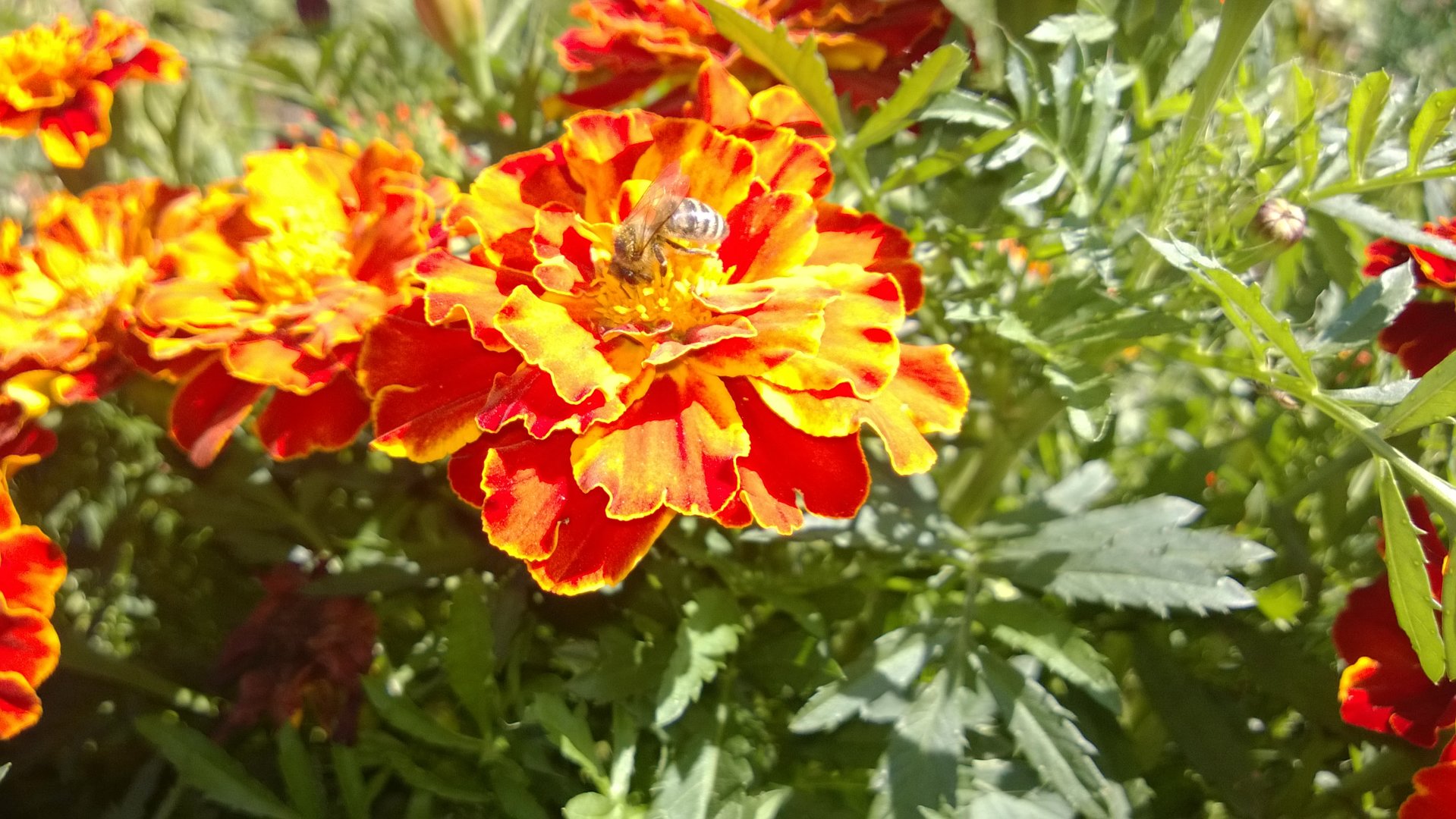 WP_20200912_013.jpg