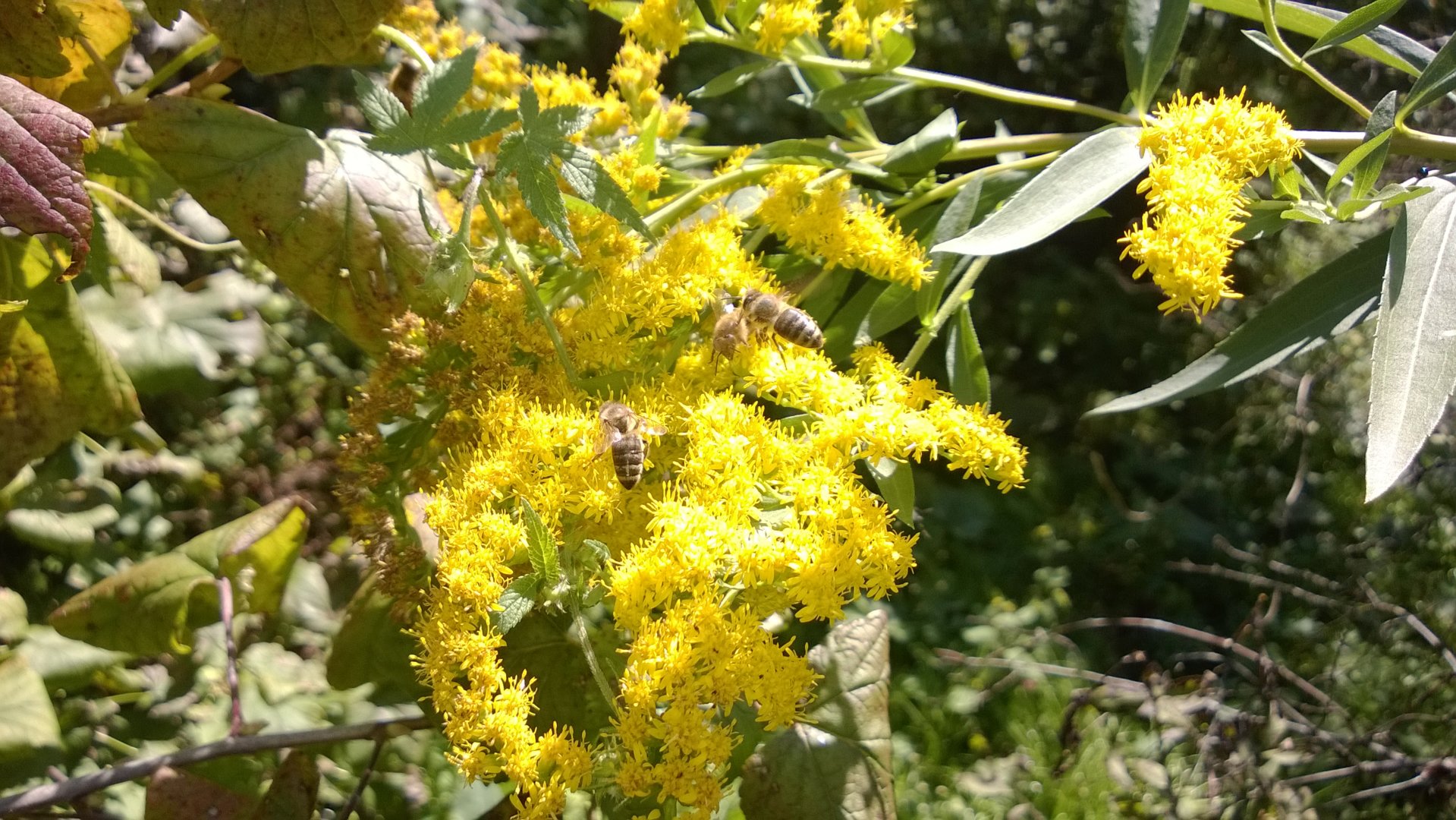 WP_20200912_014.jpg