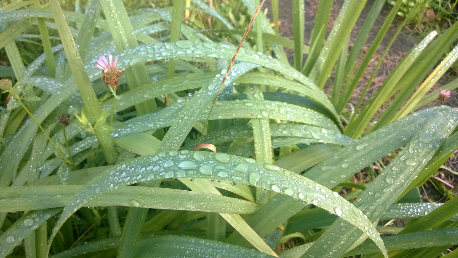 WP_20200921_001.jpg