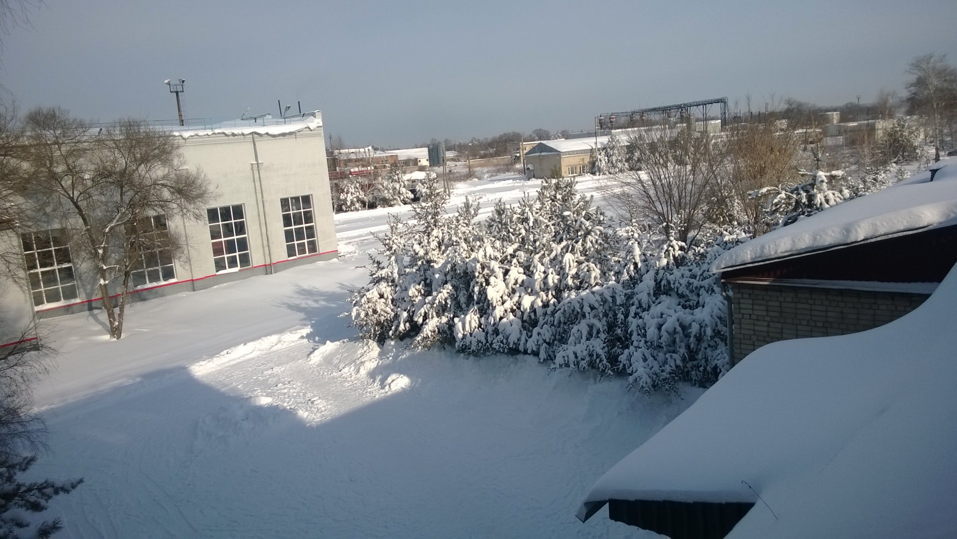 WP_20201121_016.jpg