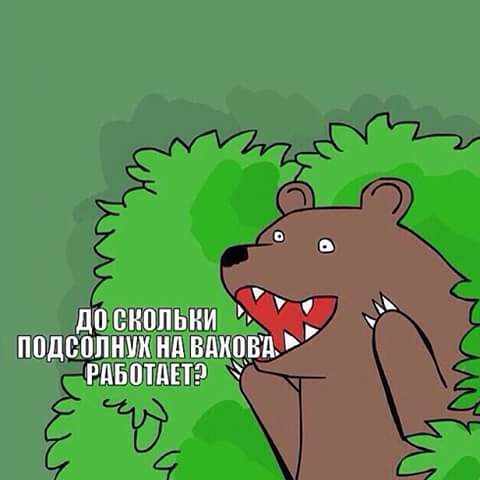 wqAK9BXVK7A.jpg