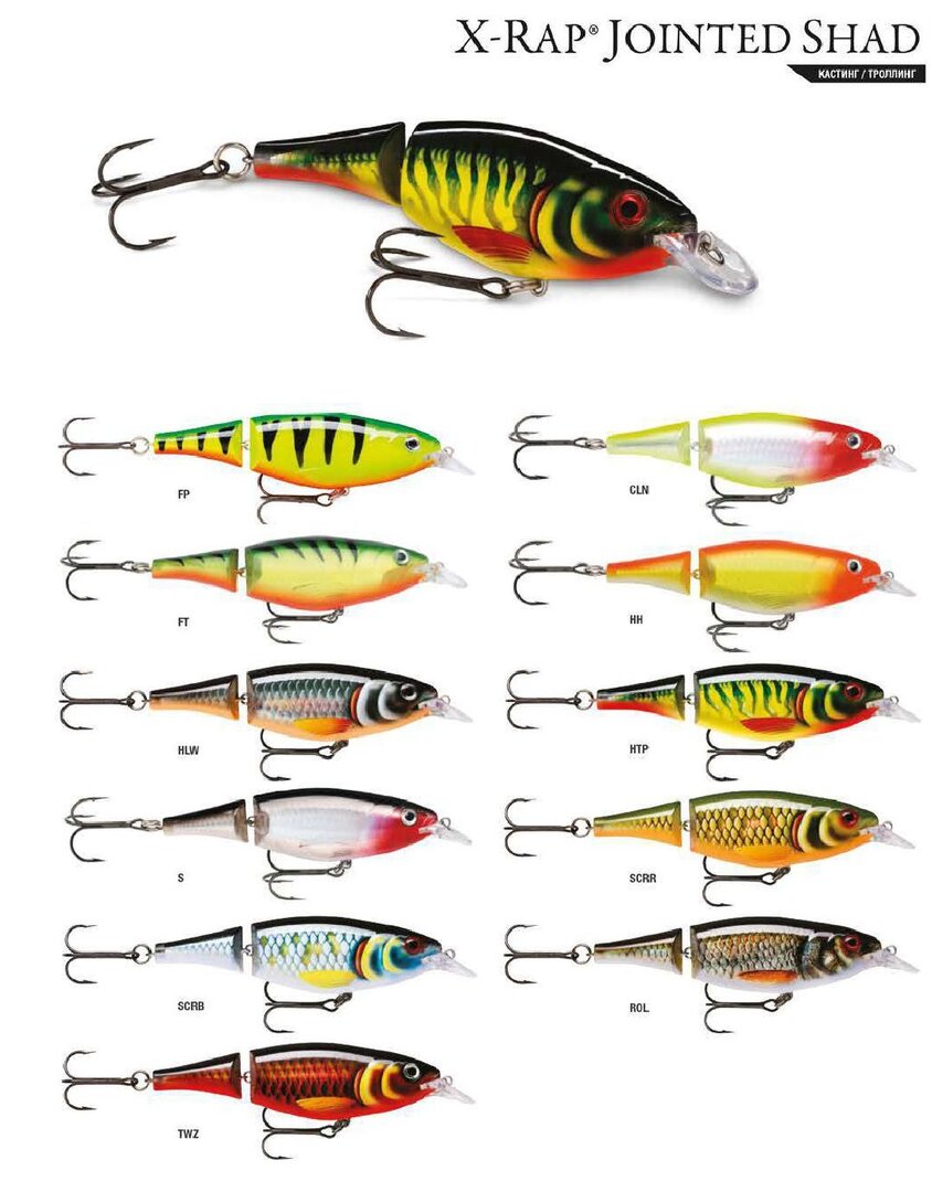 X-Rap_Jointeed_Shad_2021.jpg