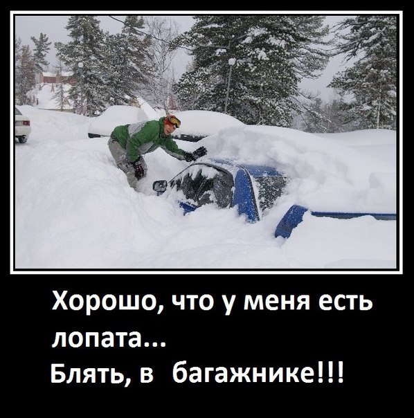 x_9e1c6e83.jpg