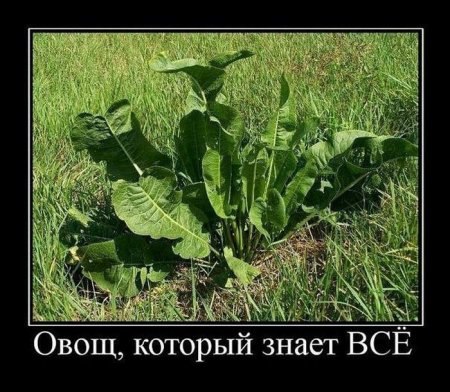 x_b056a9c7.jpg