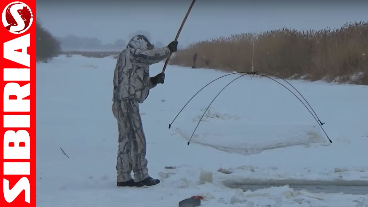 хапуга.jpg