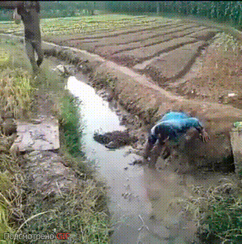 хахахаха.gif