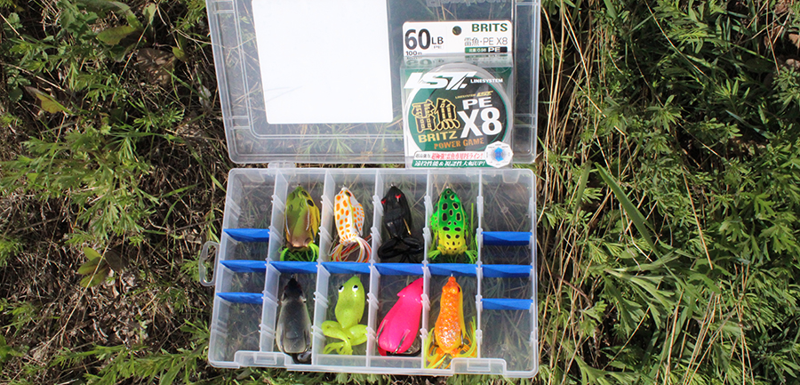 Хигаши 2 место.JPG