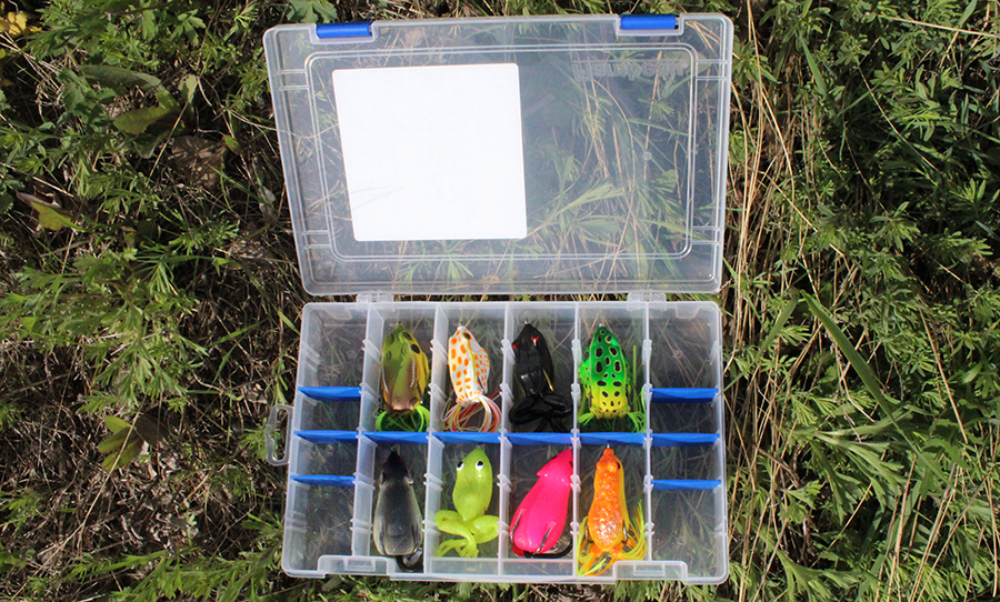 Хигаши 3 место.JPG