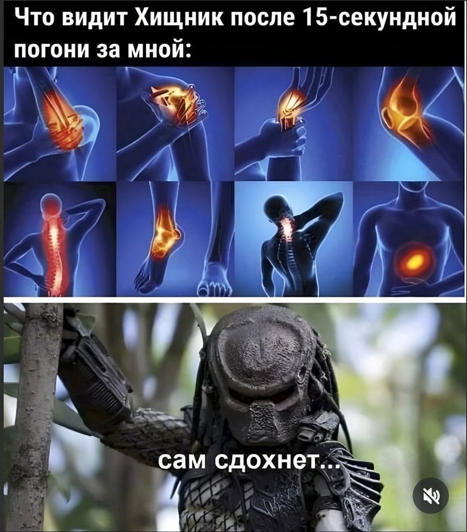 Хищник.jpg