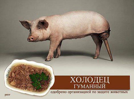 холодец.jpg