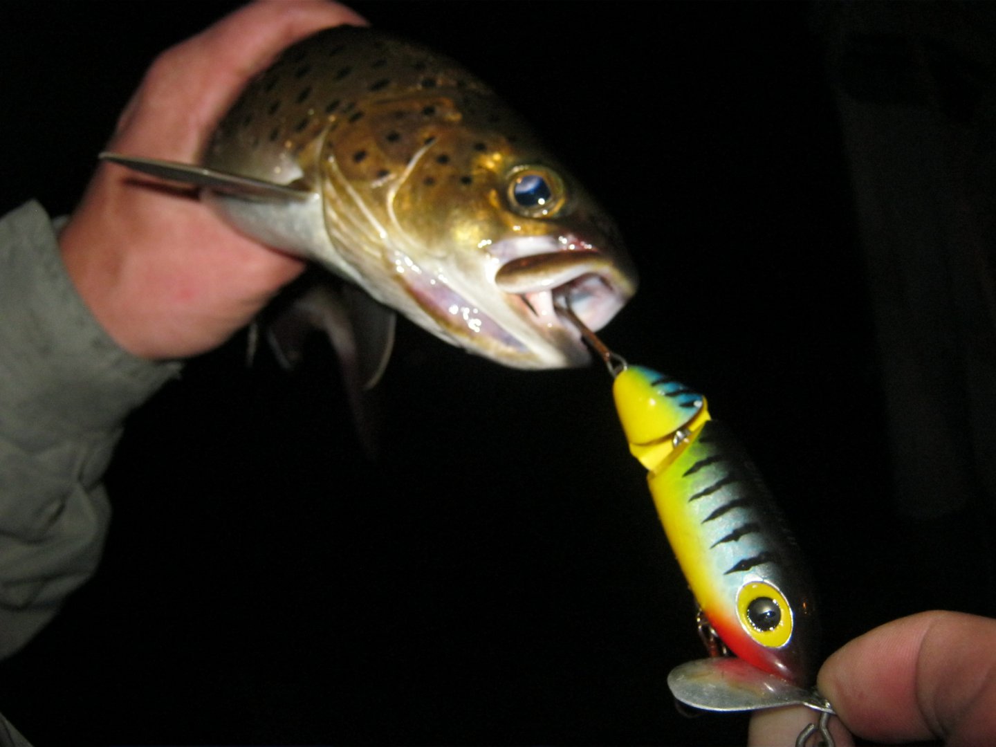 хор октябрь 2012 059.jpg