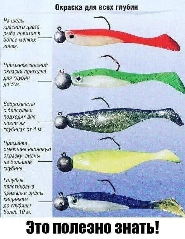 хвосты-0.png