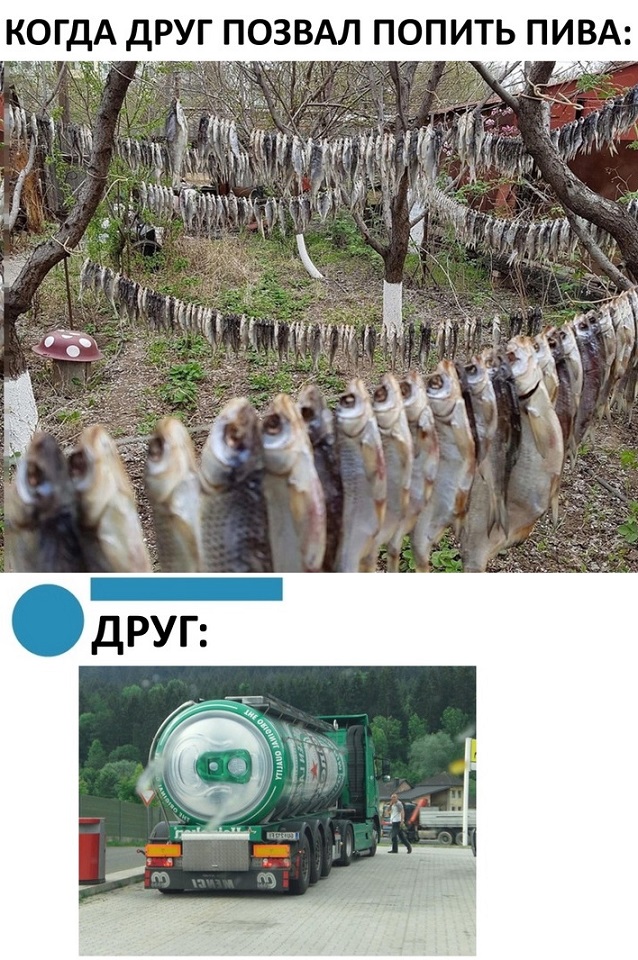 XvyivLTkVB8.jpg
