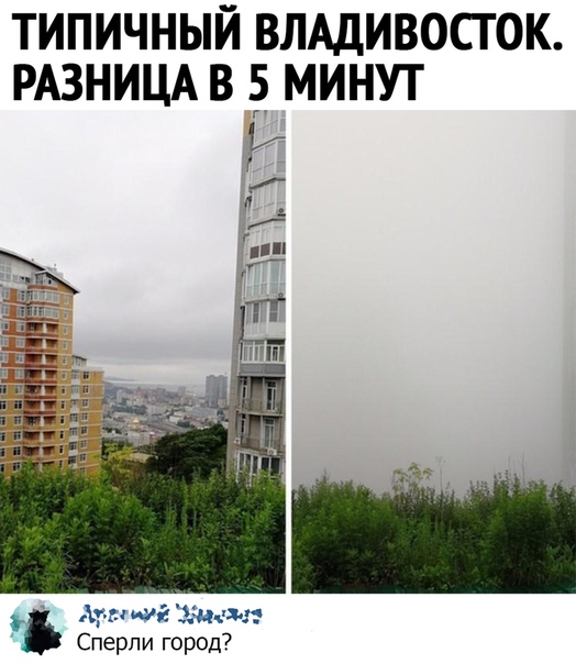 yDzpKVAeW-Q.jpg