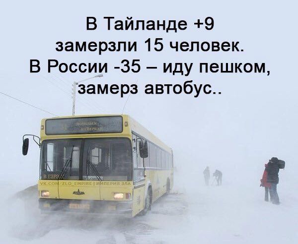 Замёрз.jpg
