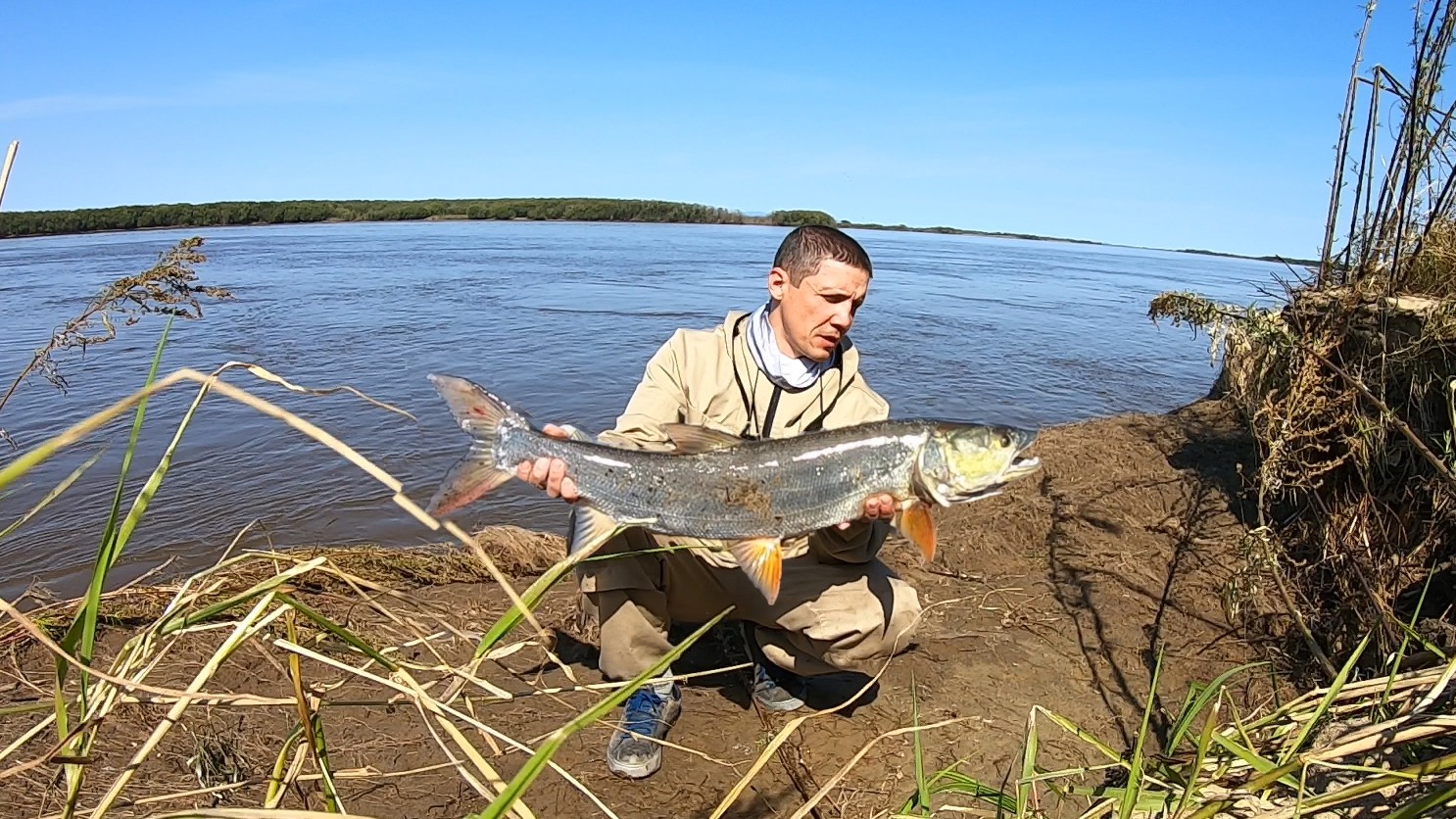 ж3.jpg