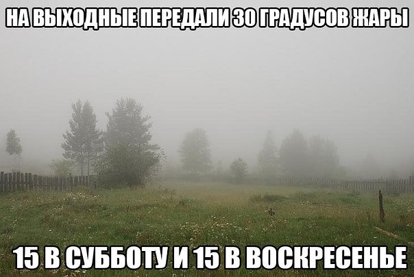 жара.jpg