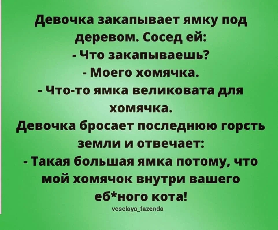 жд.jpg