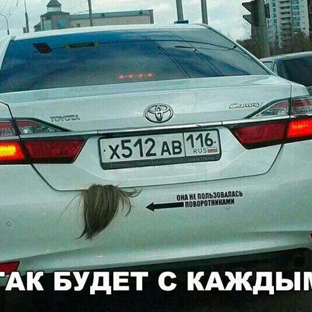 ждол.jpg