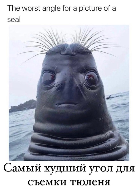 Ждун.jpg