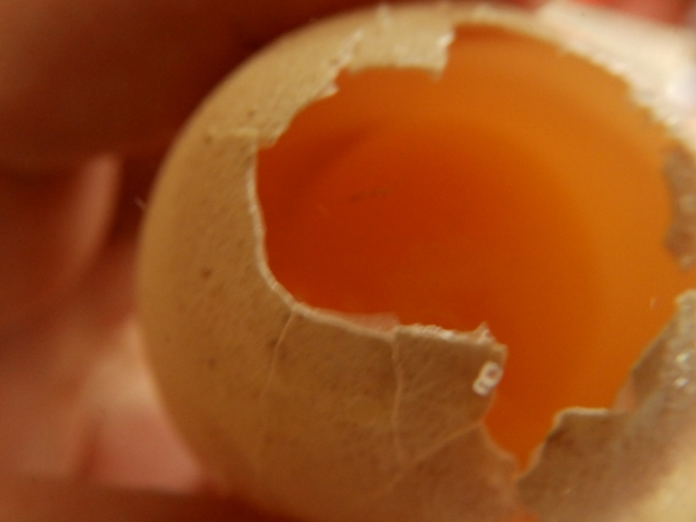 желток.JPG