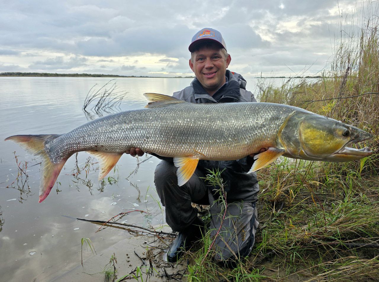 Желтый Муромов 15,5.jpg