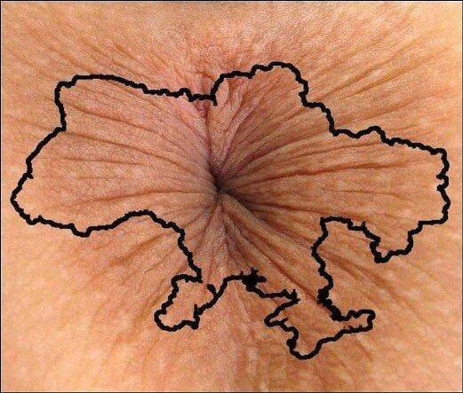 жопа.jpg