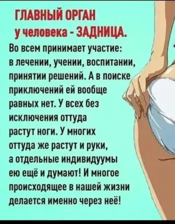 Жопа.jpg