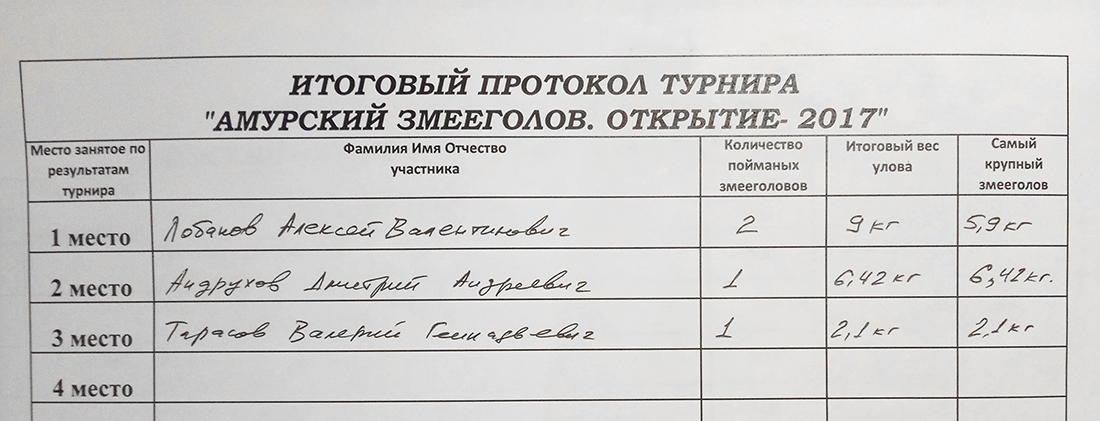 змей 1100.jpg