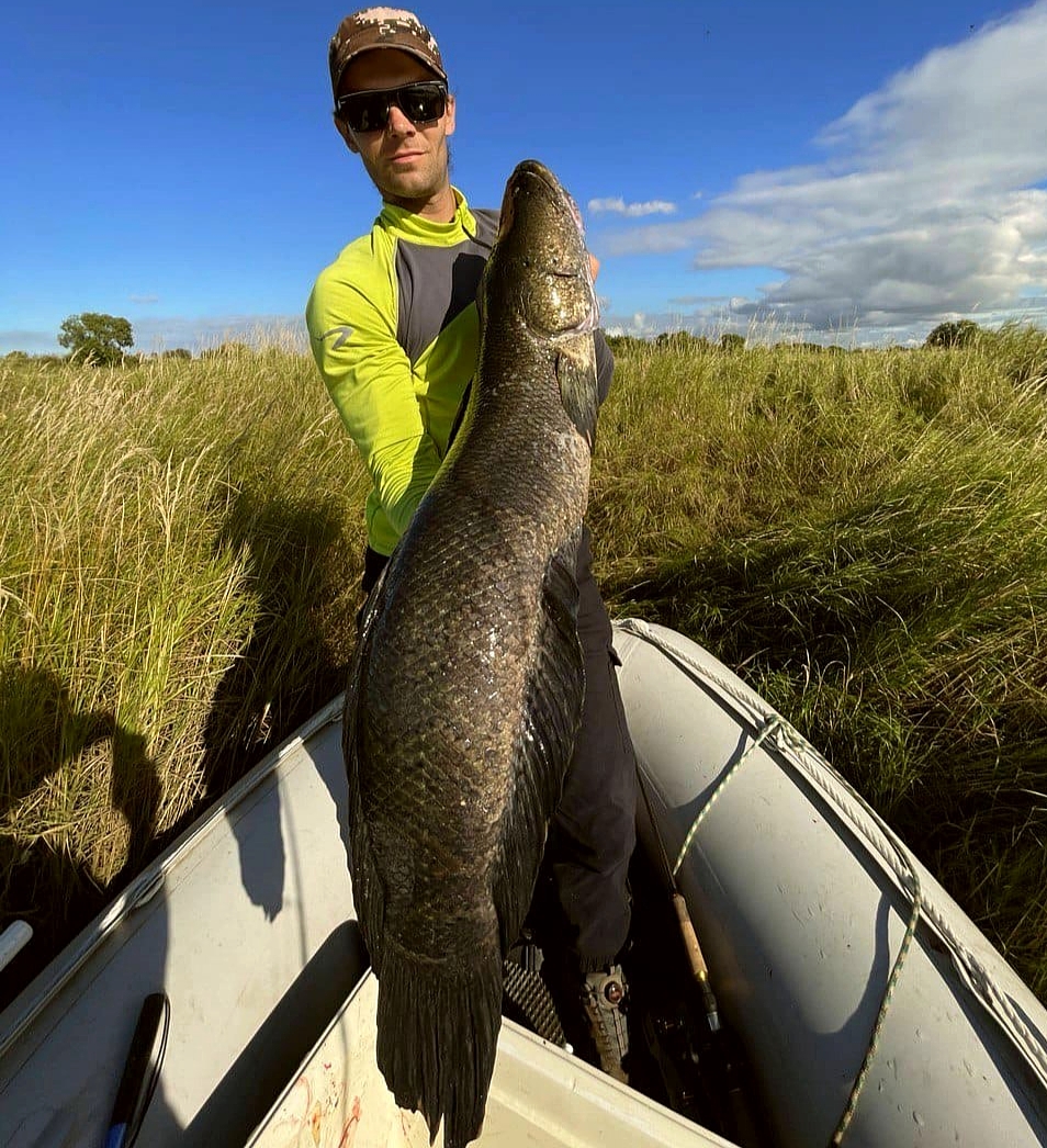 Змей Будаговский 9, 100.jpg