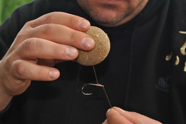 zoom_DSC_0304.jpg