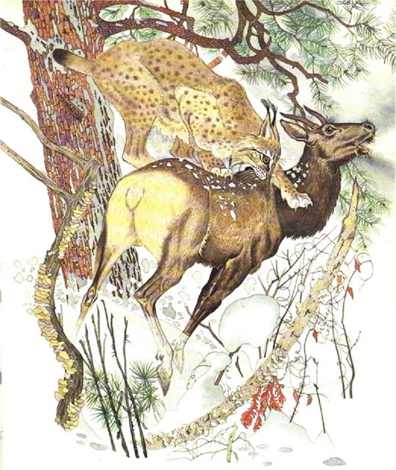 зр5.jpg