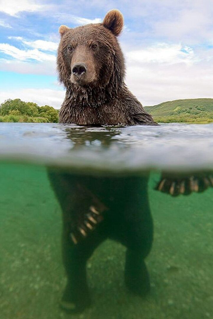 зж.jpg