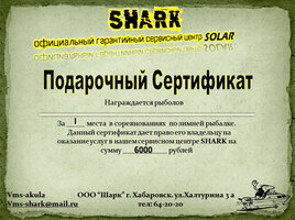 1110.jpg