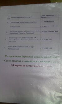 IMG_20150325_113841.jpg