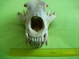 100_7213.JPG