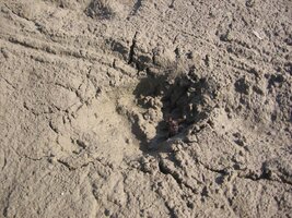 IMG_3315.JPG