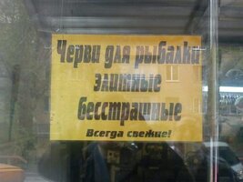 Черви элитные....jpg