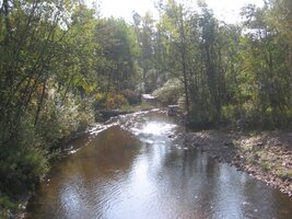 IMG_3313.JPG