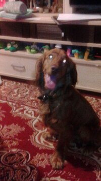 IMG-20160408-WA0024.jpg