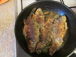 IMG_2647.JPG