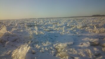 DSC_2291.JPG