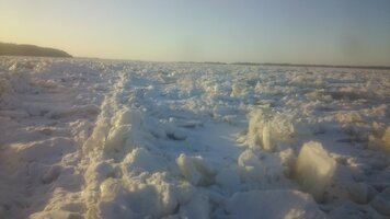 DSC_2292.JPG