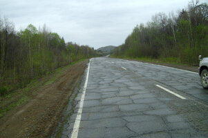23677.jpg