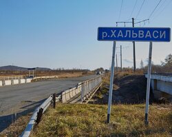 IMG_9388.jpg