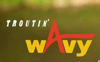 Wavy-logo.jpg