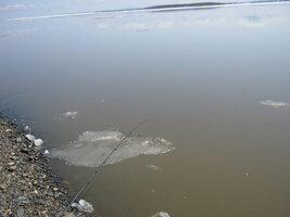 IMG_9079.JPG